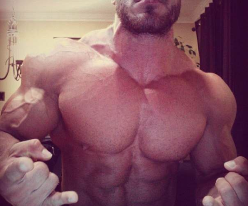 Sexy muscle guys