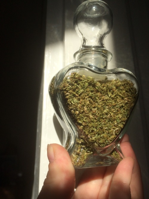 chronicallycloudy: Grinding up the weed in my stash jar was a good decision