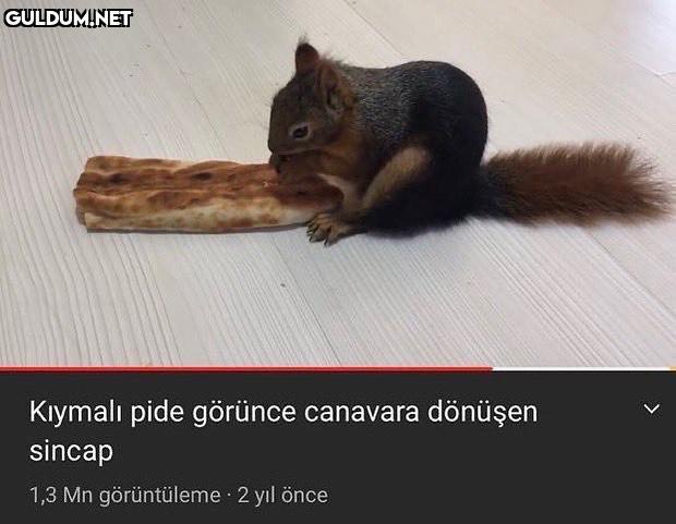 Kıymalı pide görünce...