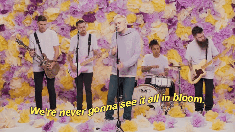 my-area51: // In Bloom // Neck Deep //
