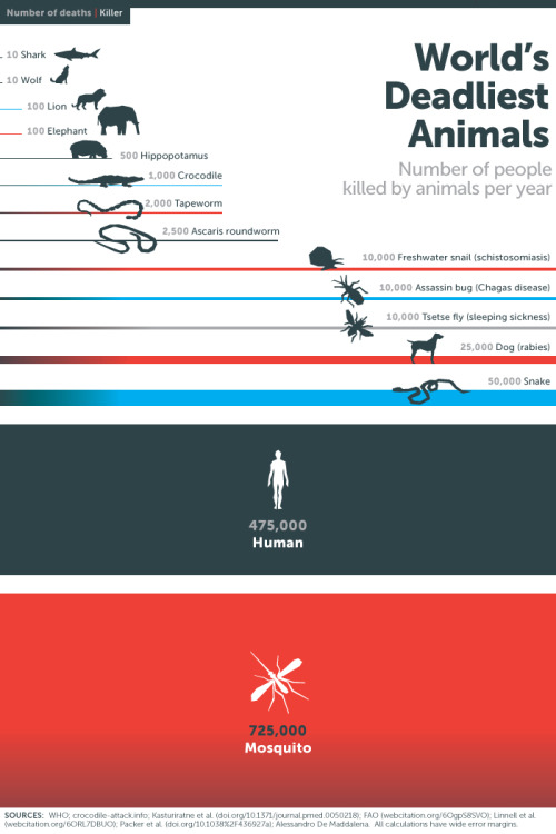 Bill Gates recently posted this infograph in his blog. Most published data suggests that shark attac