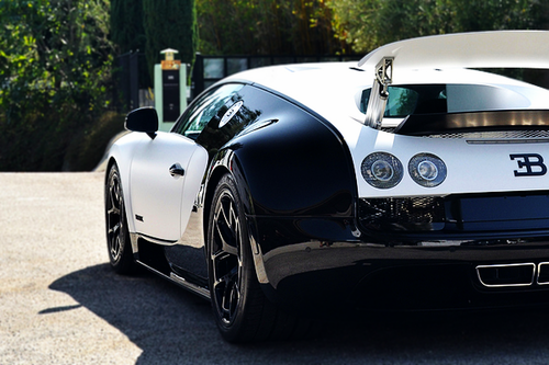 tasteforluxury:  Taste for Luxury 