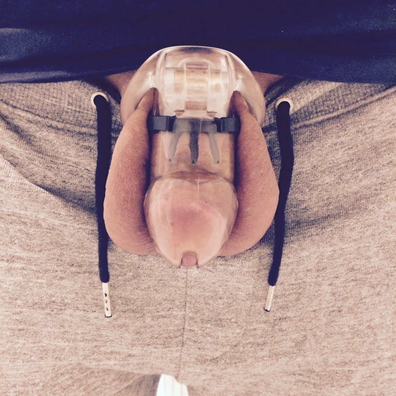 chastityrocks:  Day 1. Securely locked using the guardian anti-pullout. :) user submitted