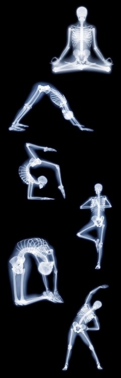 Sex fitnessua:Yoga : Bones. pictures
