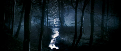 gspworld:  Some fantastic shots from Von Trier’s Antichrist. It is perhaps his most beautiful film visually speaking.