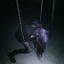 notajunkie