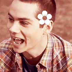 j2asndh:  alwaystherobin:  flowerboys (ﾉ◕ヮ◕)ﾉ*:･ﾟ✿   I can’t stand