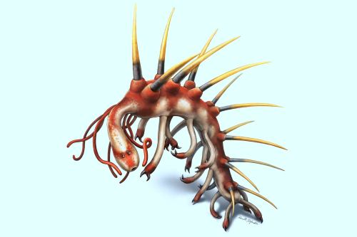 Hallucigenia: Paleontologists Reconstruct Cambrian Worm-Like Creature | Paleontology | Sci-News.com