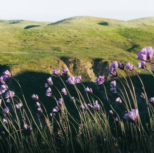 Santa Susana Mountains,Jason Fitzgibbon