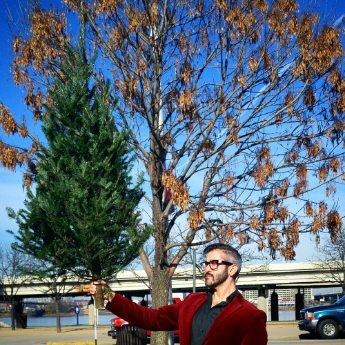 xmas tree carry 2015: the tiny tree held aloft