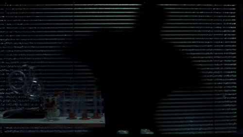 My Beloved Bruce Banner... Getting Angry, Experimenting What He Loves, Losing Control, Feeling His Muscles