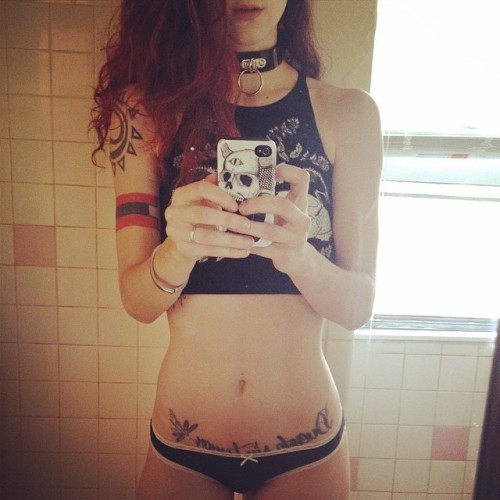 New collars, pt. ii