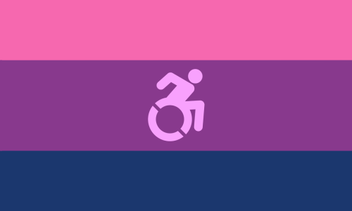 distinct-disability-flags: Disabled Queer Flags - Part 1Gay, Bi, Lesbian, Aro, Pan, Ace, Trans, Nonb