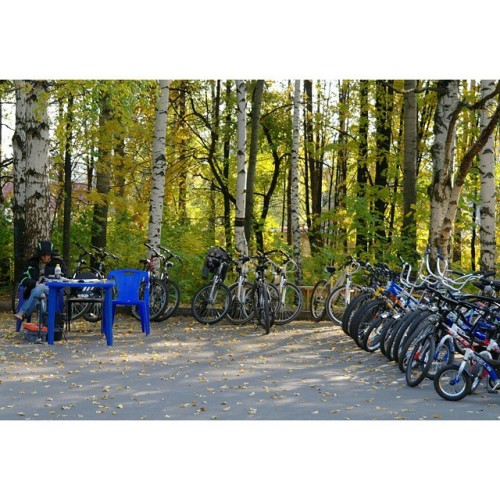 #Autumn. #Bicycle rental 🚲 / #Izhevsk, #Russia #citylife #mood #street  .  #Осень. Прокат велосипедов, #Ижевск