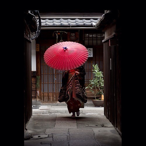 shinjihi:  Beautiful Japan 日本の美しい風景 