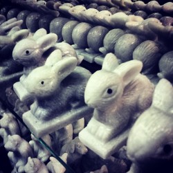 Vietnamese Marble Bunnies 