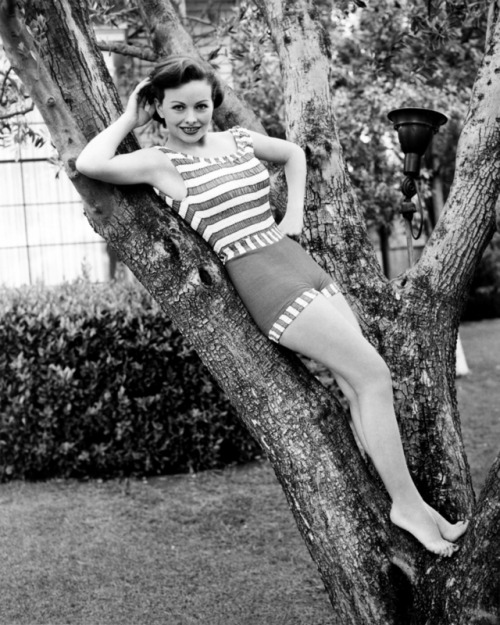 miss-accacia27:Jeanne Crain