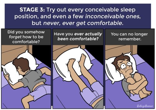 mandopony:  ambris-art:  pr1nceshawn:    The 7 Stages of Not Sleeping at Night    Every damn time  the truest post ever to be posted on the internet