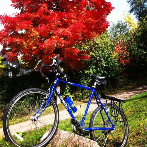 ridewithfroth: That color yo …… I love Fall \m/ #mpls #fall #fallcolors #surlybikes #longhaultrucker