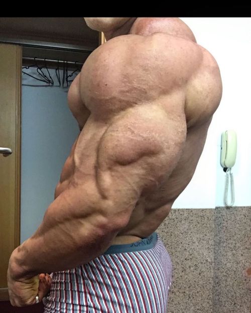The size of his delts and triceps is mind-blowing. 