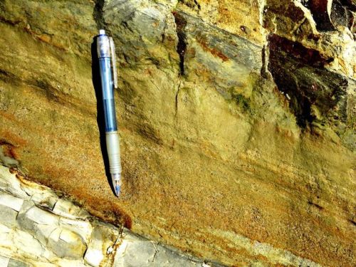 happy-geology:混濁流からの堆積を示すブーマ・シーケンス（級化部の上に平行葉理）　上位の泥岩との境界は堆積後の生物擾乱でもやもやに　400万年前の深海底のできごと　鮮新世　長岡市（旧和島村