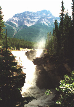 travelingcolors:   Athabasca Falls, Alberta