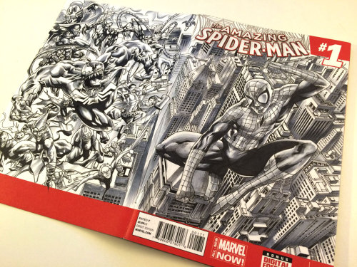 Amazing Spider-man and Rogues Gallery blank cover! I worked extra hard on this because it’s for a ch