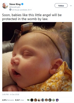 lulavcentrism: whyyoustabbedme:  Well, he did say “babies like this.” So he was very clear about the  babies he will protect. Credit for being open about his racism, I guess?   His tweet has exactly 14 words for SOME REASON 