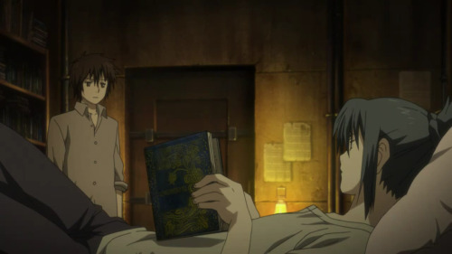 studyinstyle: A good library will never be too neat, or too dusty, because somebody will always