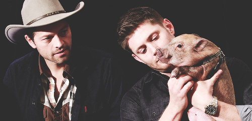 jensenacklesmishacollins:  [x]                 