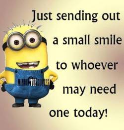 feistyangel3:  Minions Fans, Facebook