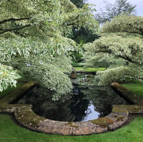 down-in-the-willow-garden