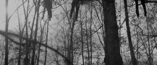  Treehouse (2014) 