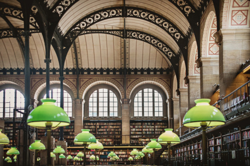 shevyvision:Rumored to be the inspiration for Hogwarts, this is the Henri Labrouste Reading Room at 