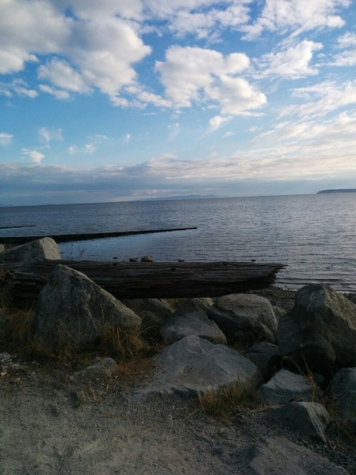 plantheaven:  i can’t even imagine what it’s like not to live by the ocean