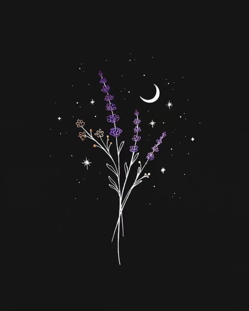 Flower Night