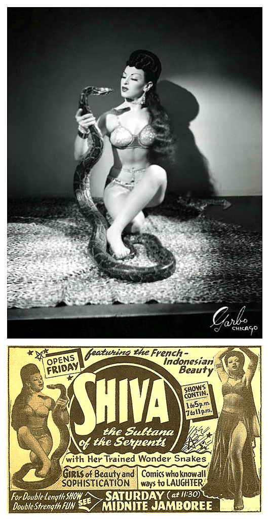 Shiva       aka. &ldquo;The Sultana of the Serpents&rdquo;.. Promo