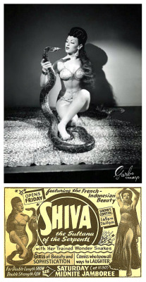 Shiva       Aka. &Amp;Ldquo;The Sultana Of The Serpents&Amp;Rdquo;.. Promo
