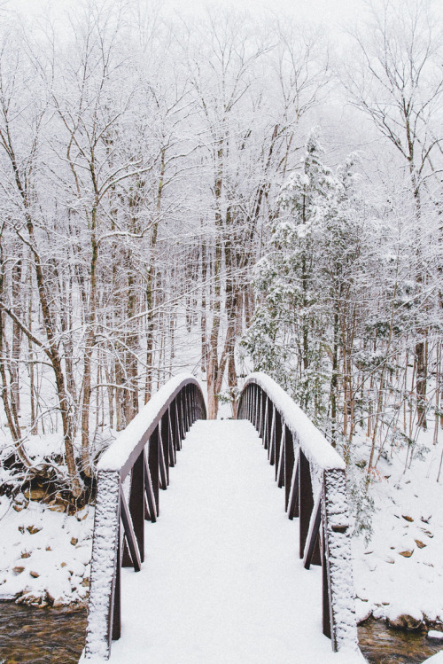 Snowy Bridge | Photographer © | IG | AOI adult photos