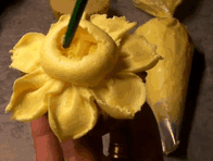 have-a-spooky-halloween:  Daffodil Tutorial 