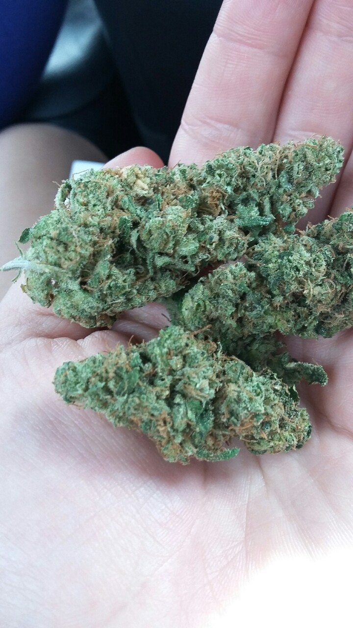 callmemissmorbid:  Some ghost train haze I picked up in Denver; ) rolling the blunt