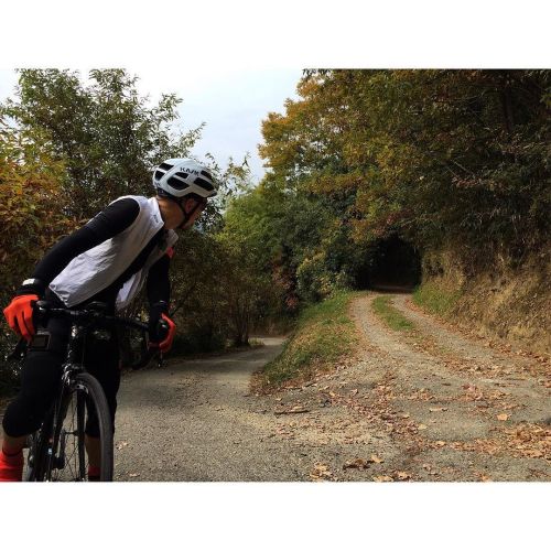 dfitzger:  by @aririnnn: - Huh? That way ? - - #Coffeeride - - #findyourownroad  #outsideisfree - - 