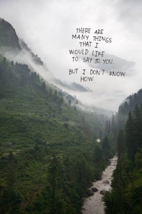 http://christinaowen5.tumblr.com/post/110069939291
