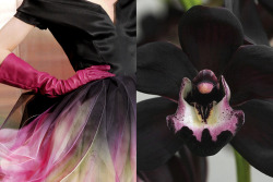 whereiseefashion:  Match #191 Details at Christian Dior Haute Couture Fall 2010 | Black orchid More matches here