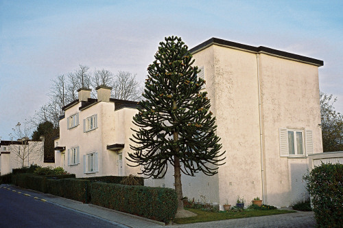 architectureofdoom:  Kapelleveld garden city, Sint-Lambrechts-Woluwe, Brussels, Huib Hoste/Antoine Pompe, 1923-26