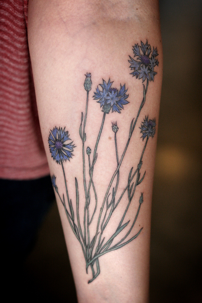 Cornflower Tattoo | TikTok