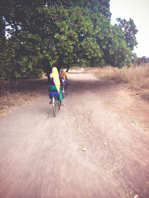 Cashew trees and bike rides. Mtwara, Tanzania. photography by mollyinkenya.