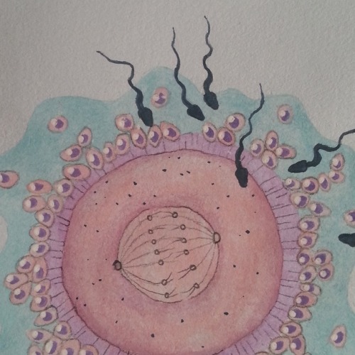 Fertilisation, 2015