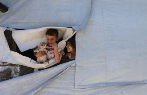 biladal-sham:Syrian children play with a cat in a refugee camp on the outskirts of the town of Zahle