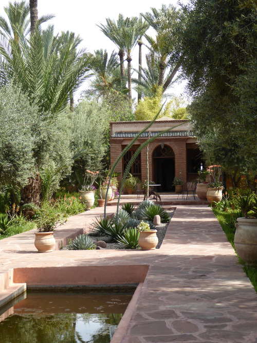 Moroccan Garden, Marrakech